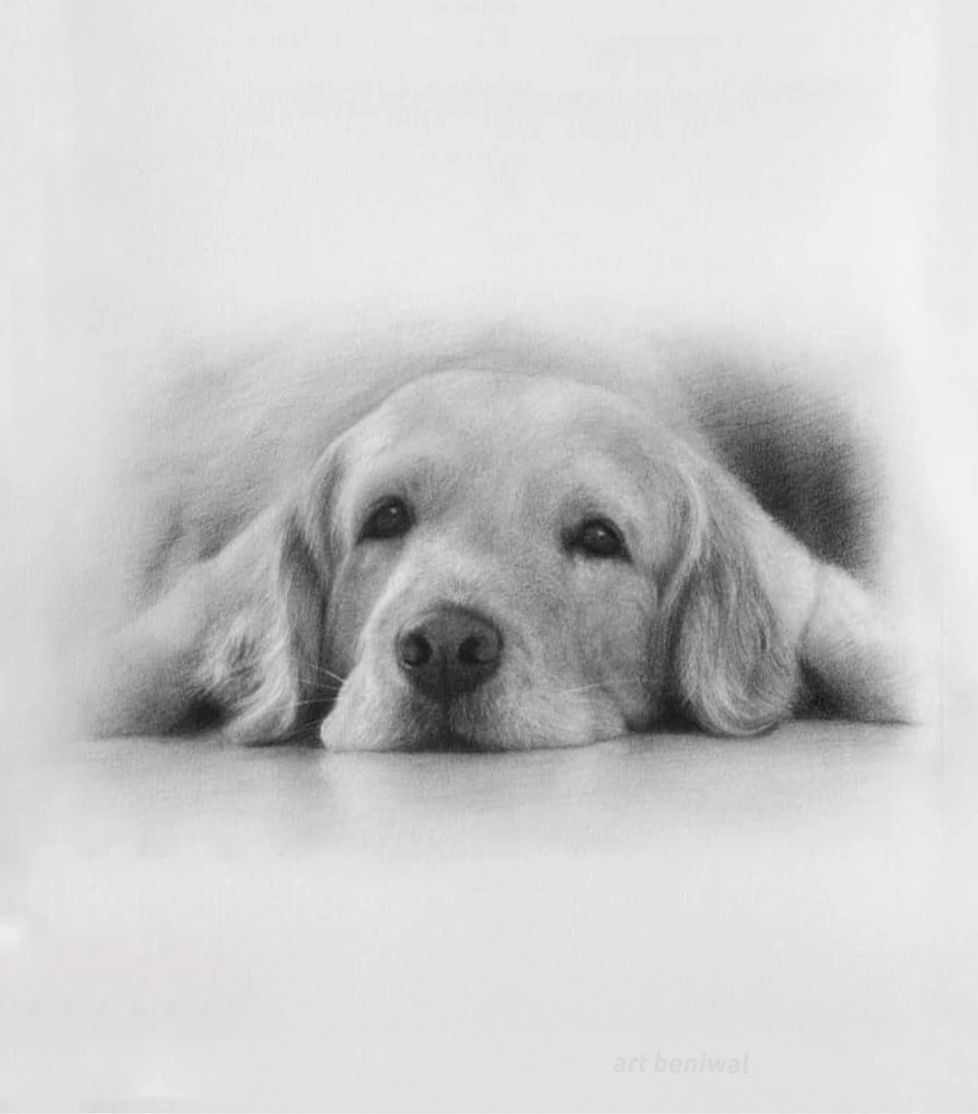 #1126 Dog Pencil Portrait