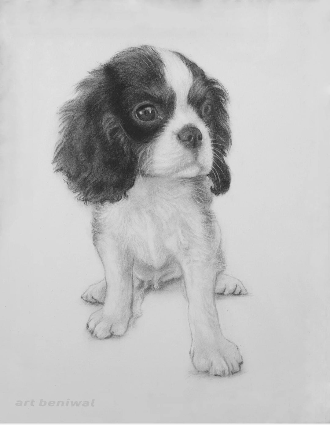 D123B Dog Pencil Portrait
