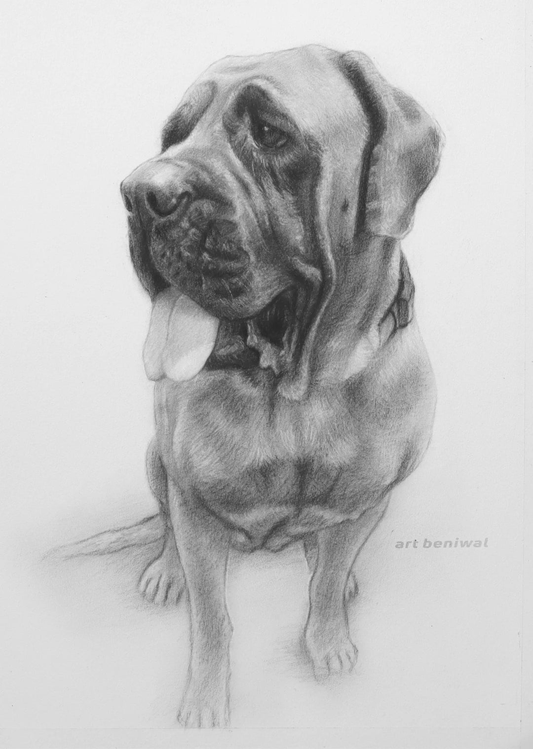 D123D Dog Pencil Portrait