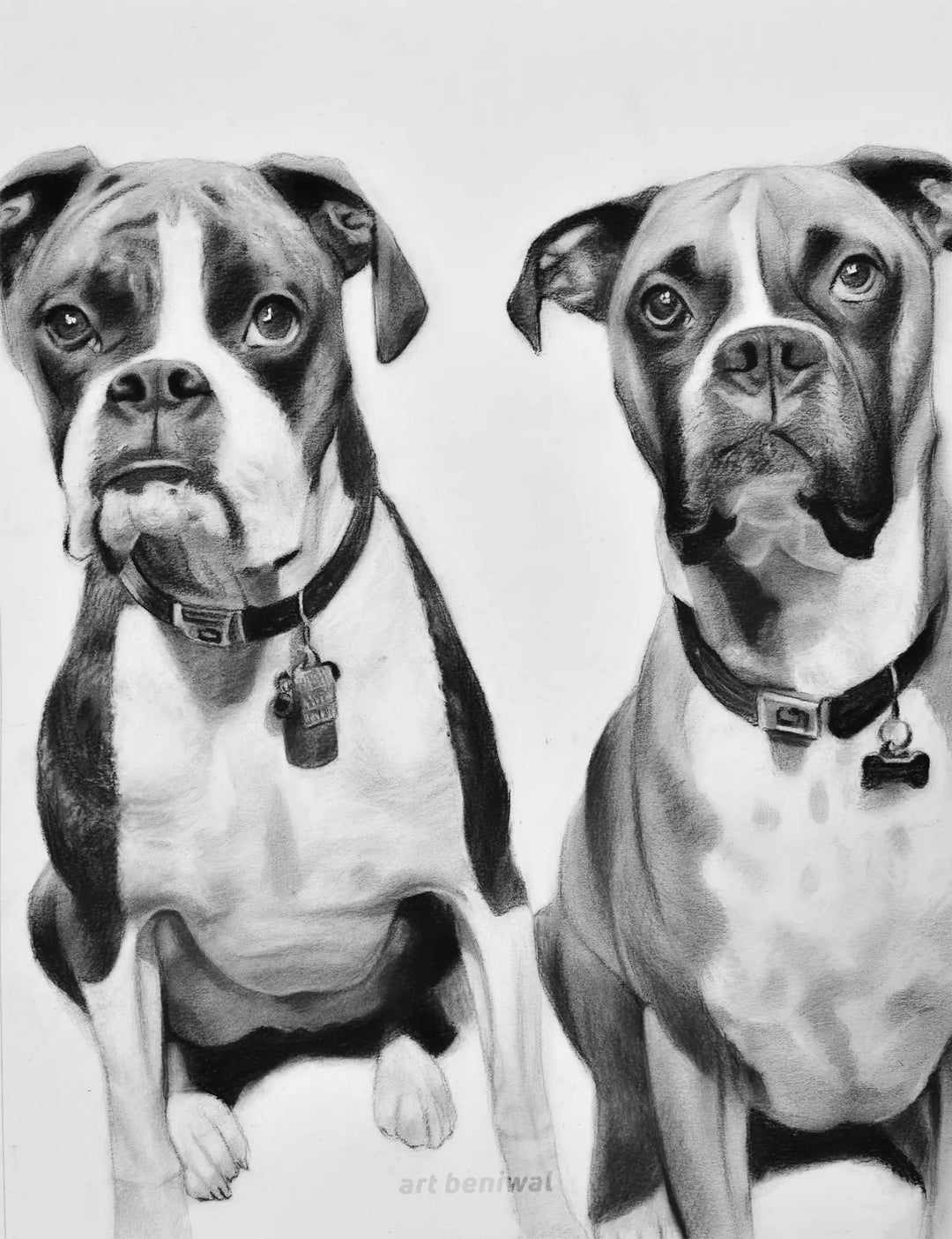 D15 Dog Pencil Portrait