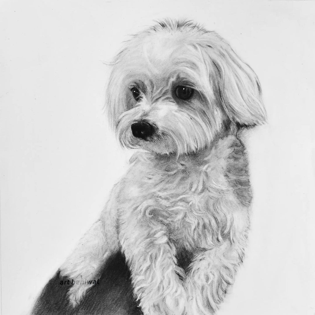 D30 Dog Pencil Portrait