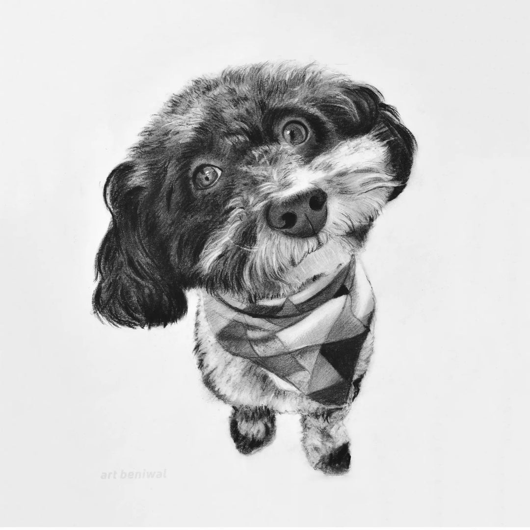 D33 Dog Pencil Portrait