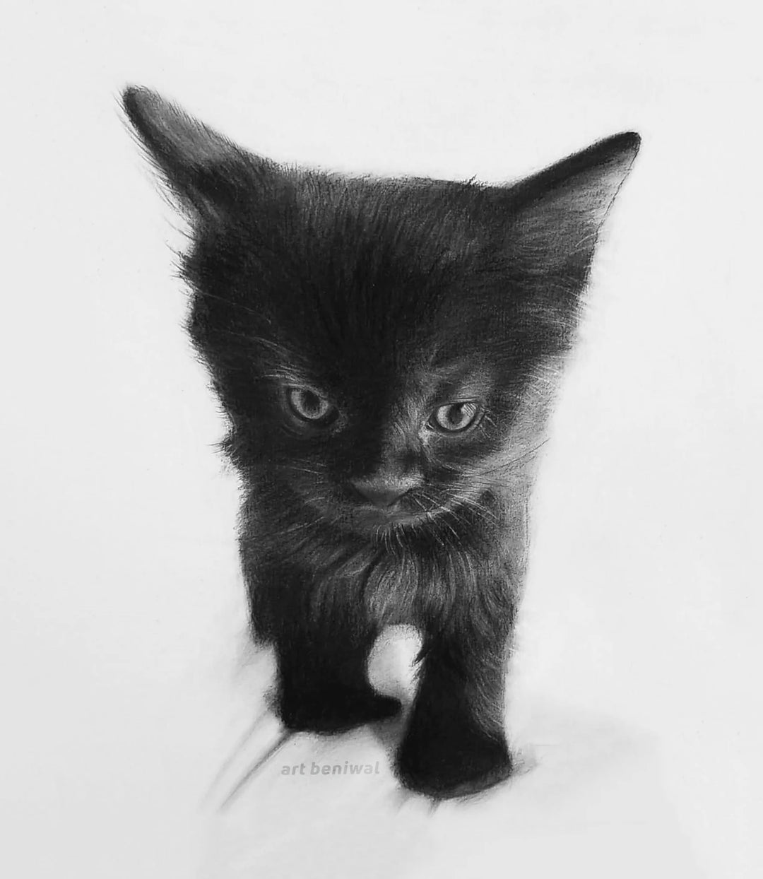 D40 Cat Pencil Portrait