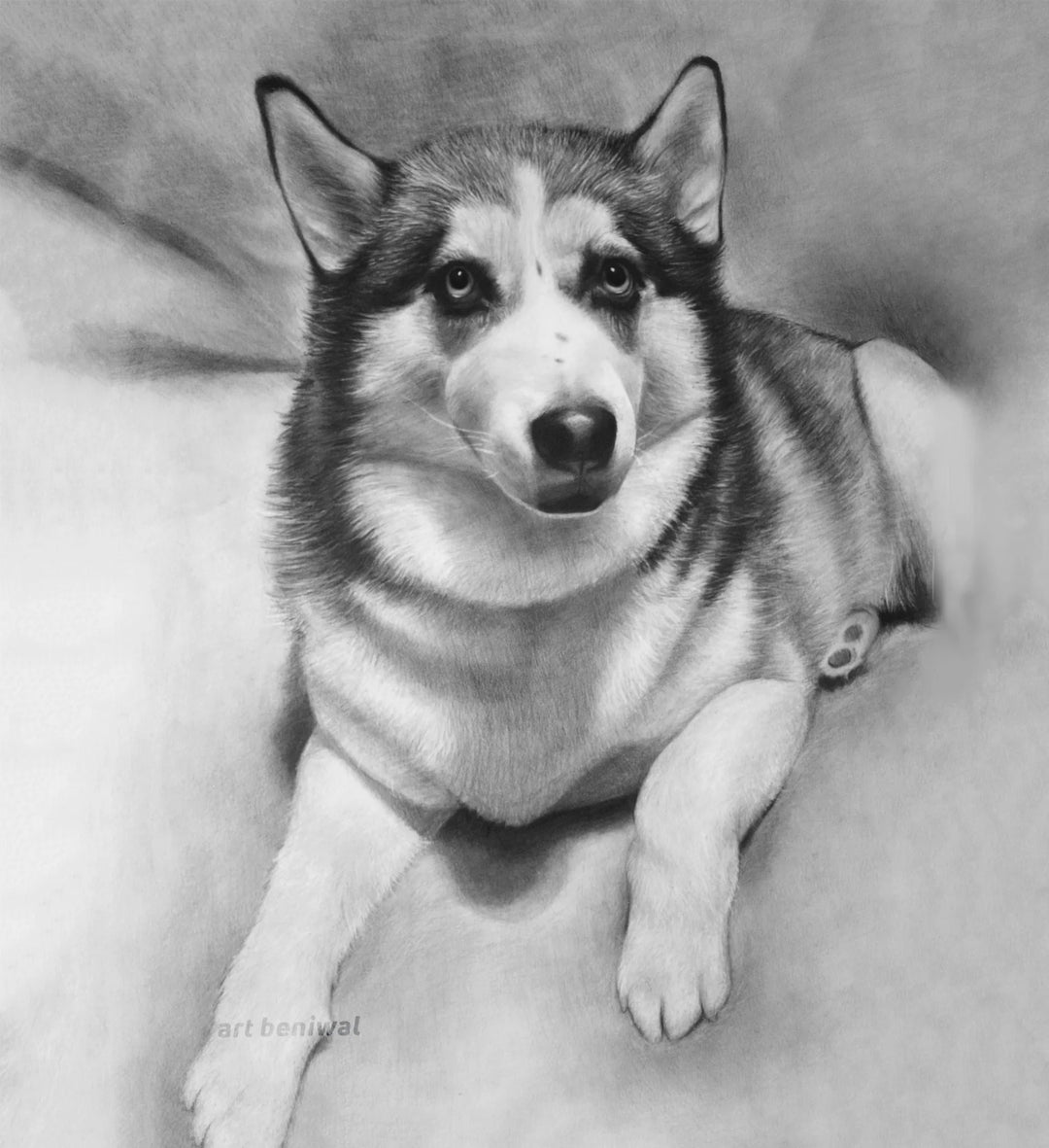 D4 Dog Pencil Portrait