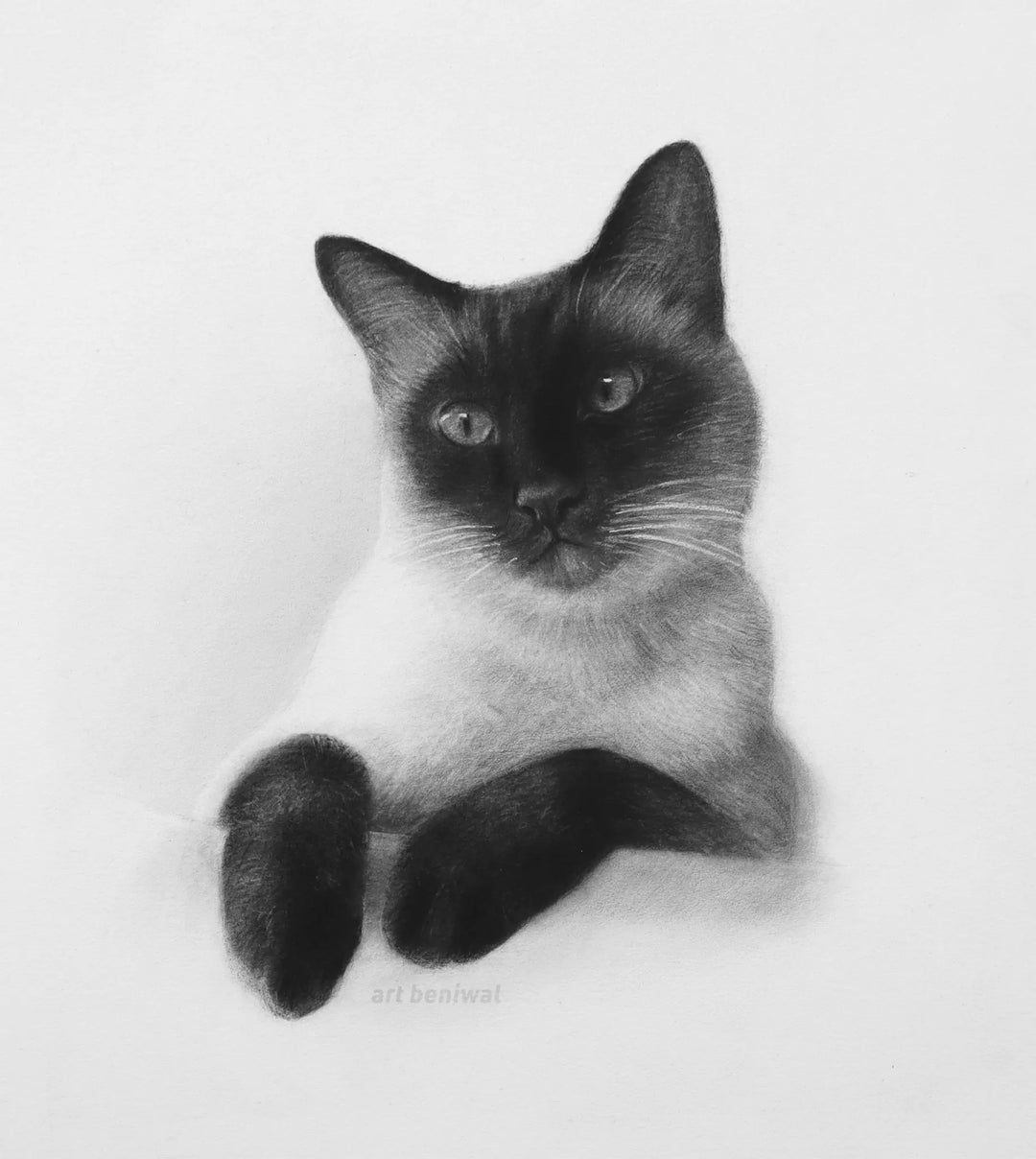 D52 Cat Pencil Portrait