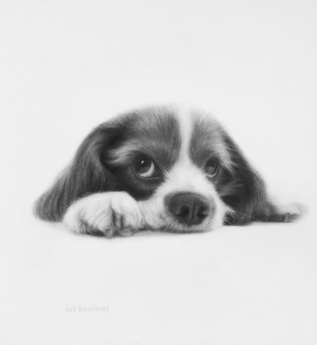 D55 Dog Pencil Portrait