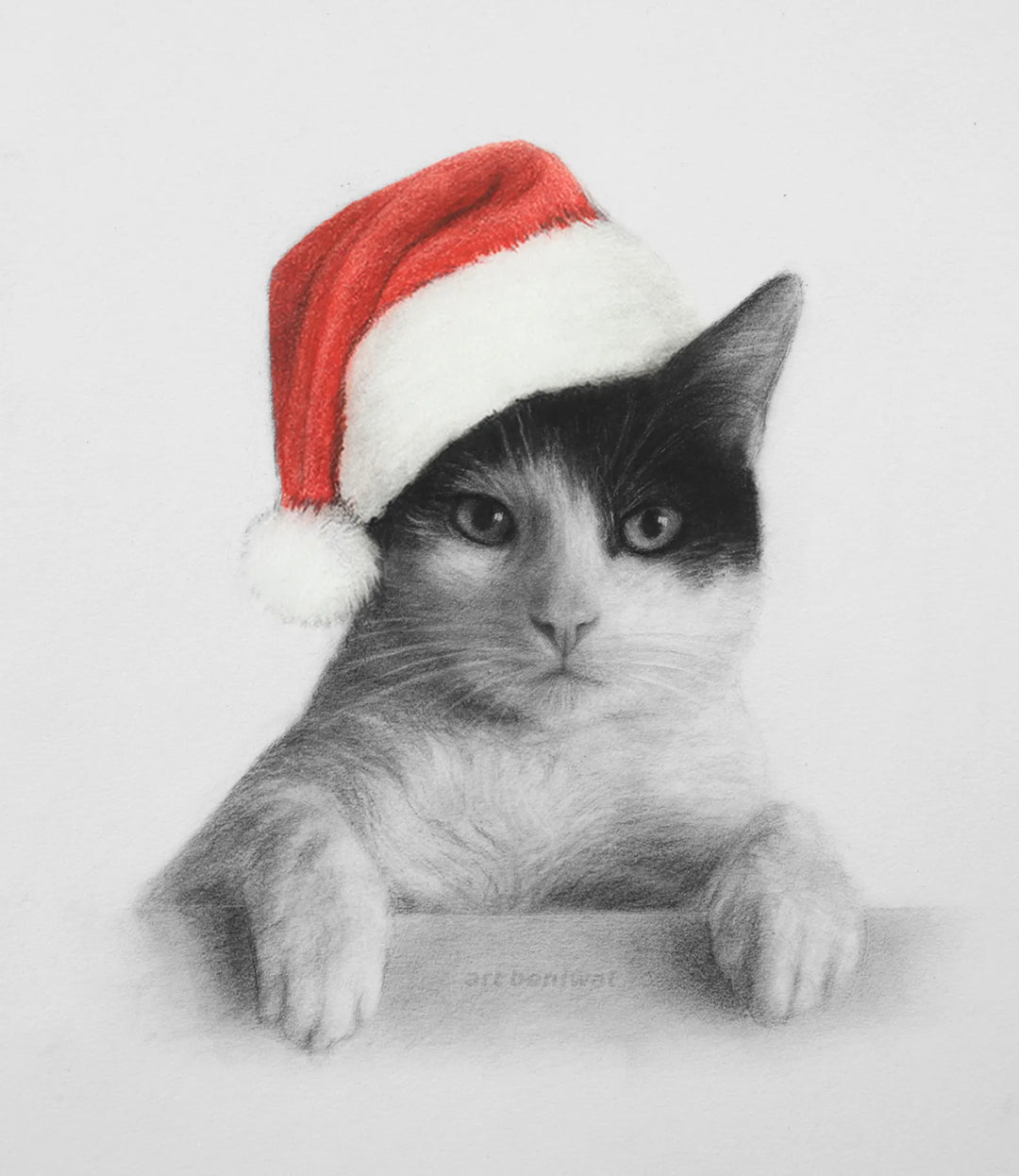 D61 Cat Pencil Portrait