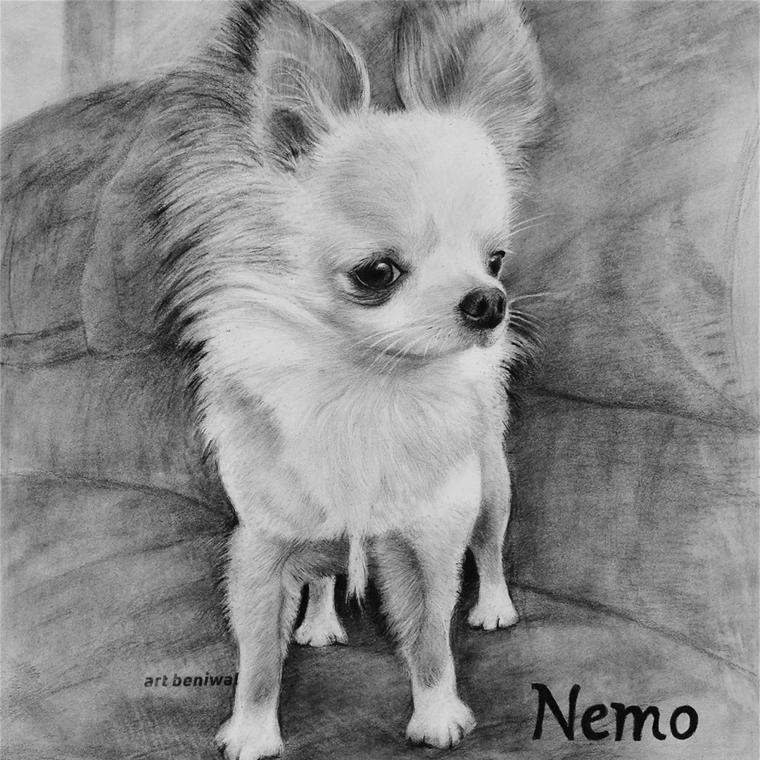 D6 Dog Pencil Portrait