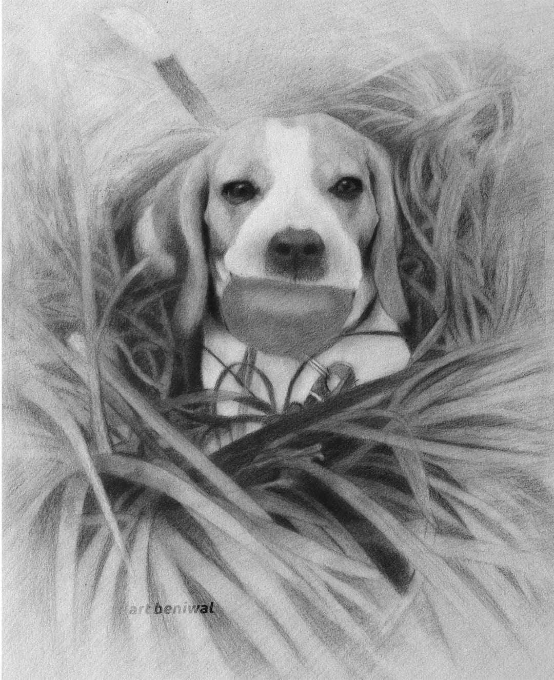 D81 Dog Pencil Portrait