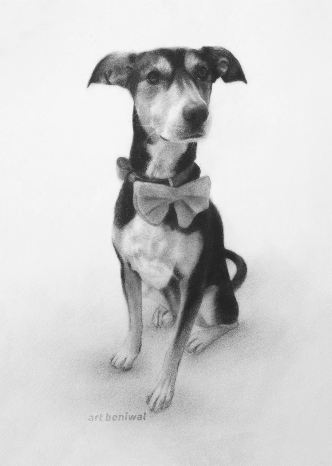 D90 Dog Pencil Portrait