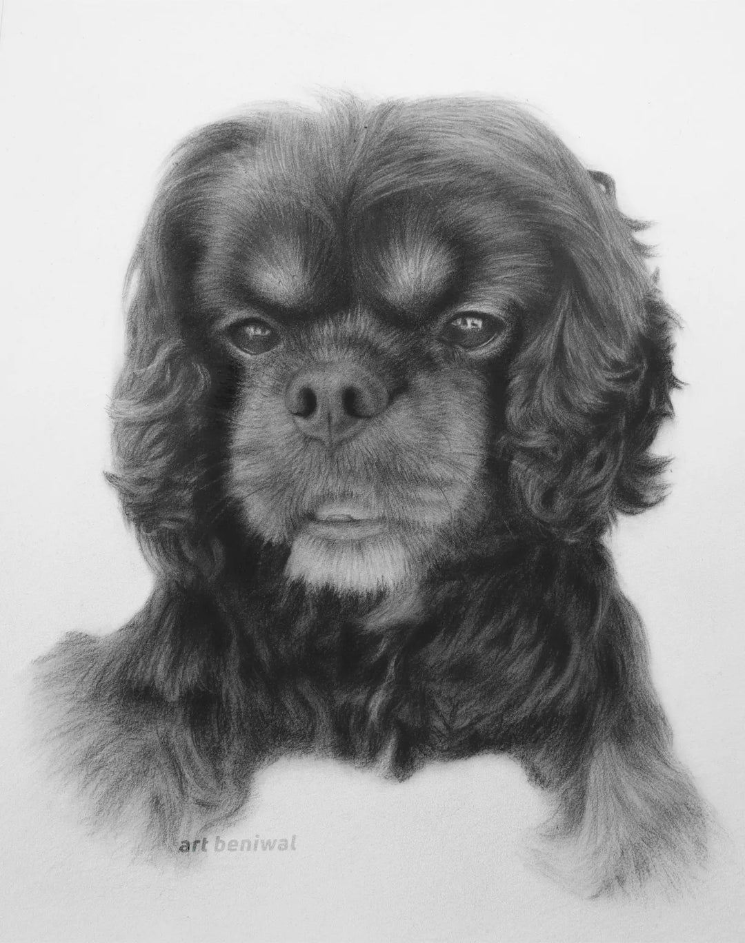 D93 Dog Pencil Portrait