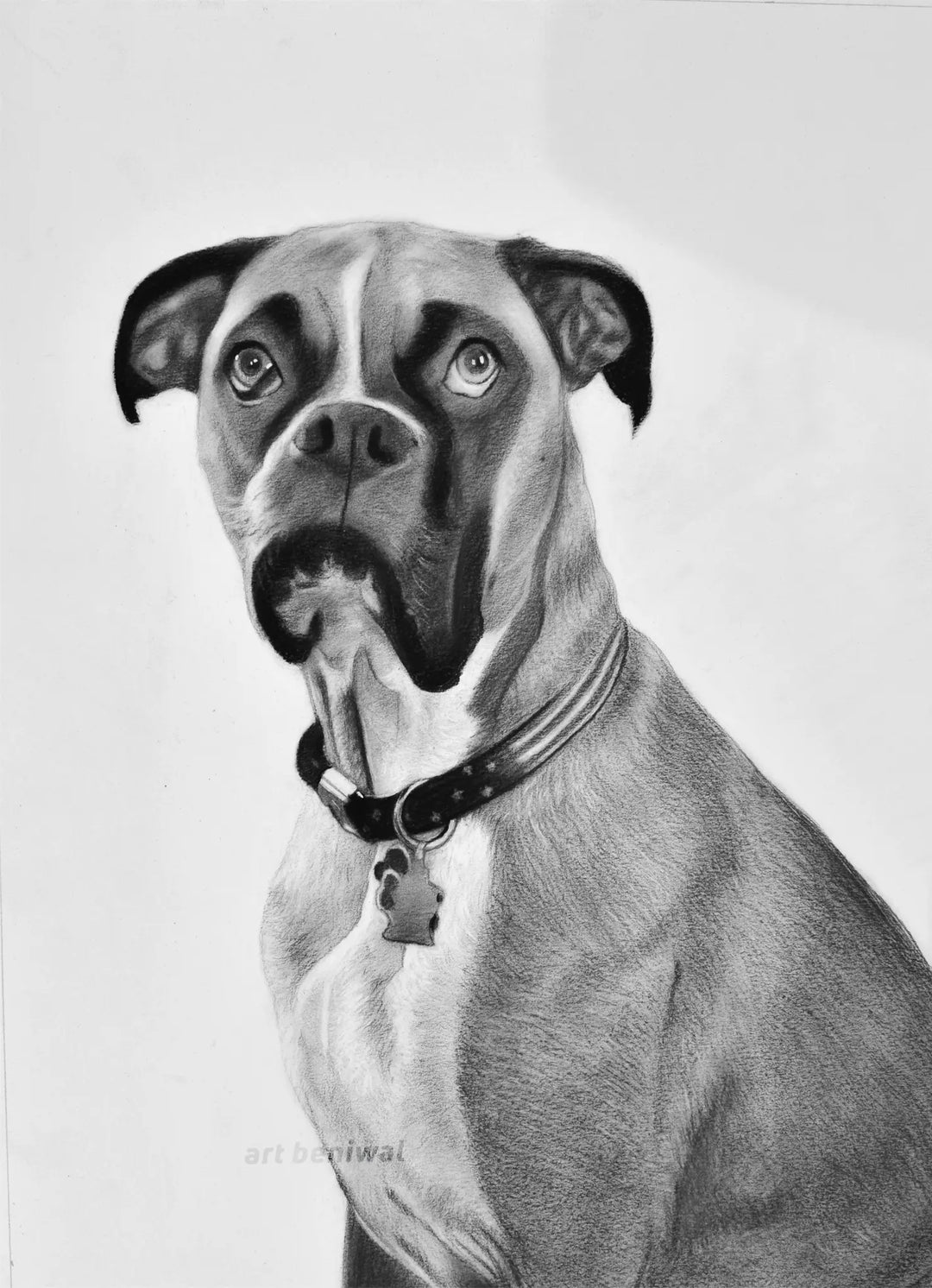 D9 Dog Pencil Portrait