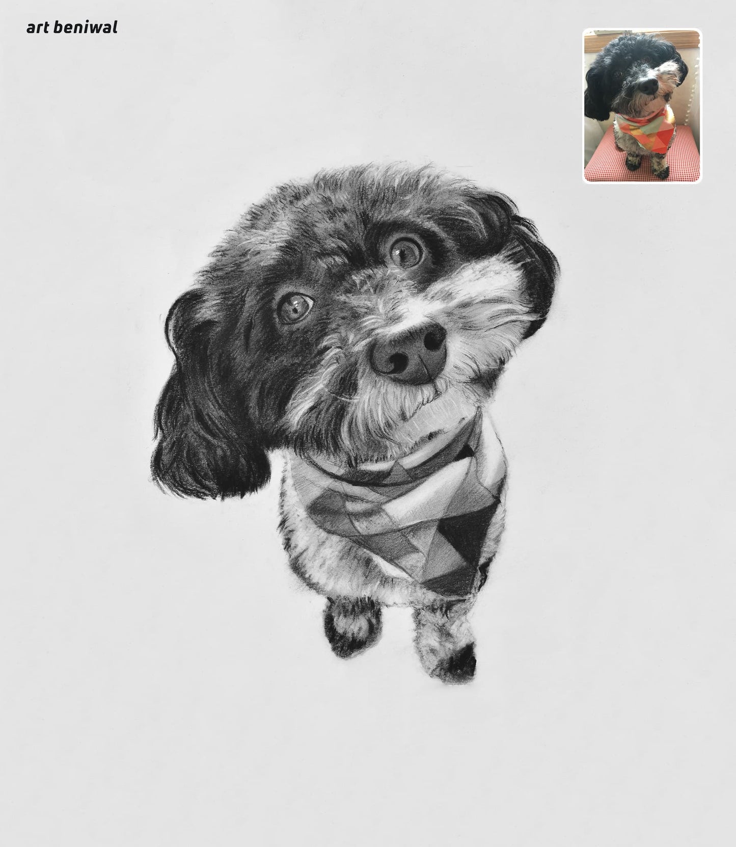 Custom Dog Drawing - Hand-Drawn Portrait from Your Photo (Great Gift!)