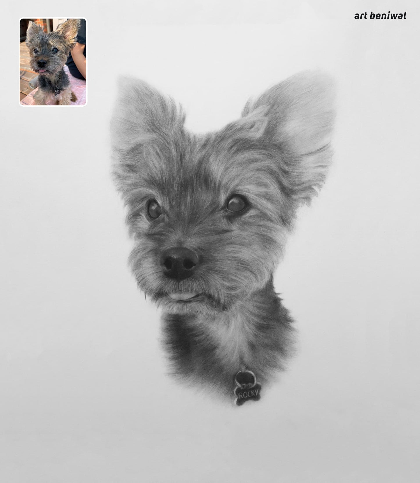 Pet Sketch Portrait from Photo - A Personalized Gift for Dog Owner