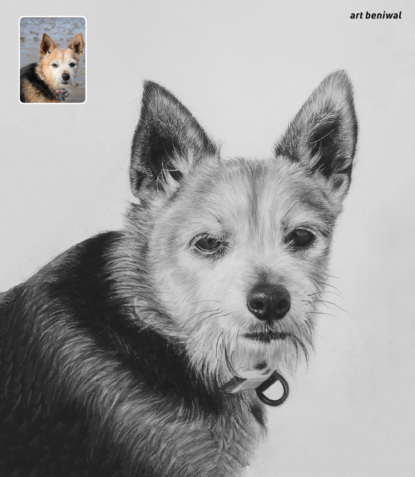 Pet Sketch Portrait from Photo - A Personalized Gift for Dog Owner