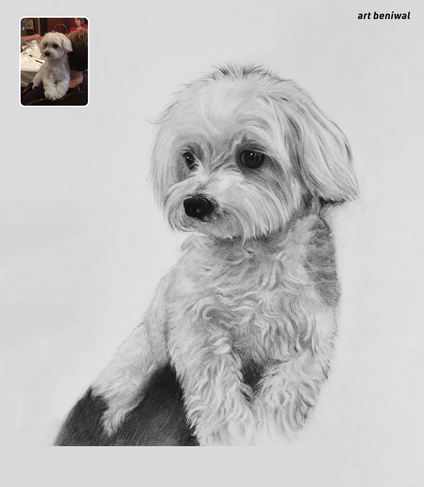 Pet Sketch Portrait from Photo - A Personalized Gift for Dog Owner