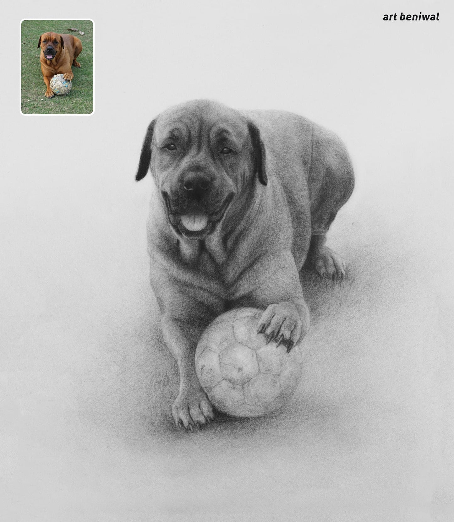 Custom Dog Drawing - Hand-Drawn Portrait from Your Photo (Great Gift!)