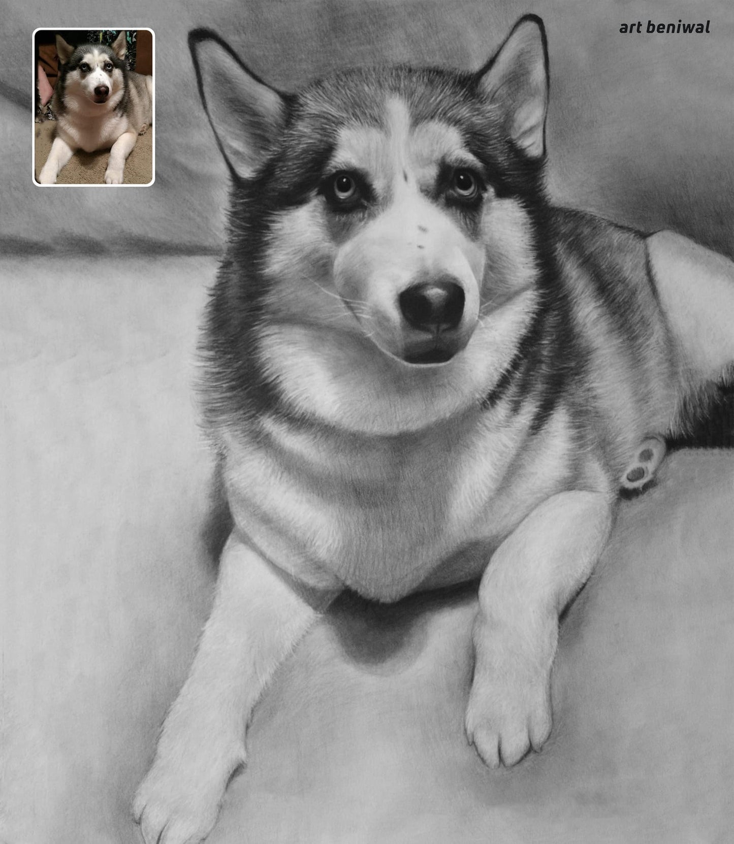 Pet Sketch Portrait from Photo - A Personalized Gift for Dog Owner