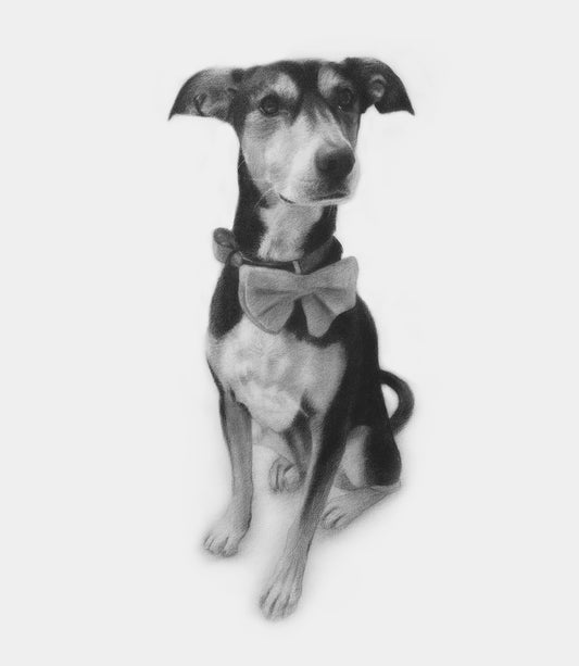 Honor Your Furry Friend: A Pet Memorial Portrait • Hand-Drawn Pencil Drawing!