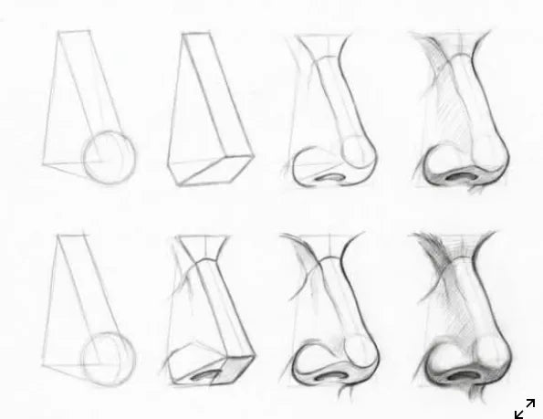 Class 8: Nose Cast Drawing Outlines