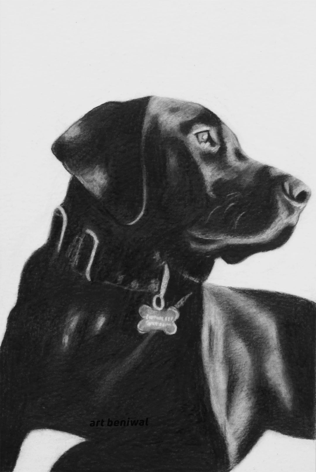 #1025D Dog Pencil Portrait