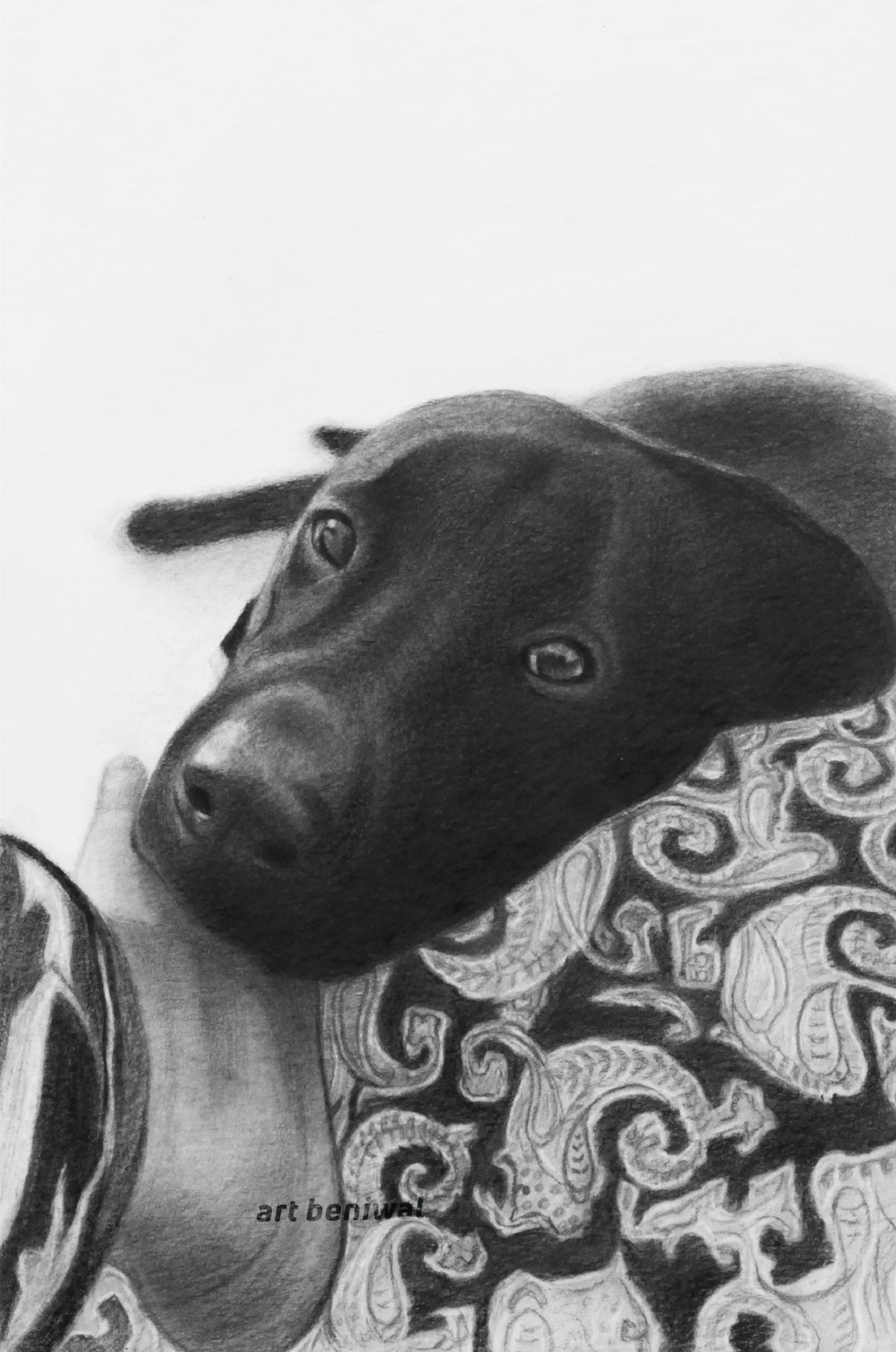 #1025F Dog Pencil Portrait