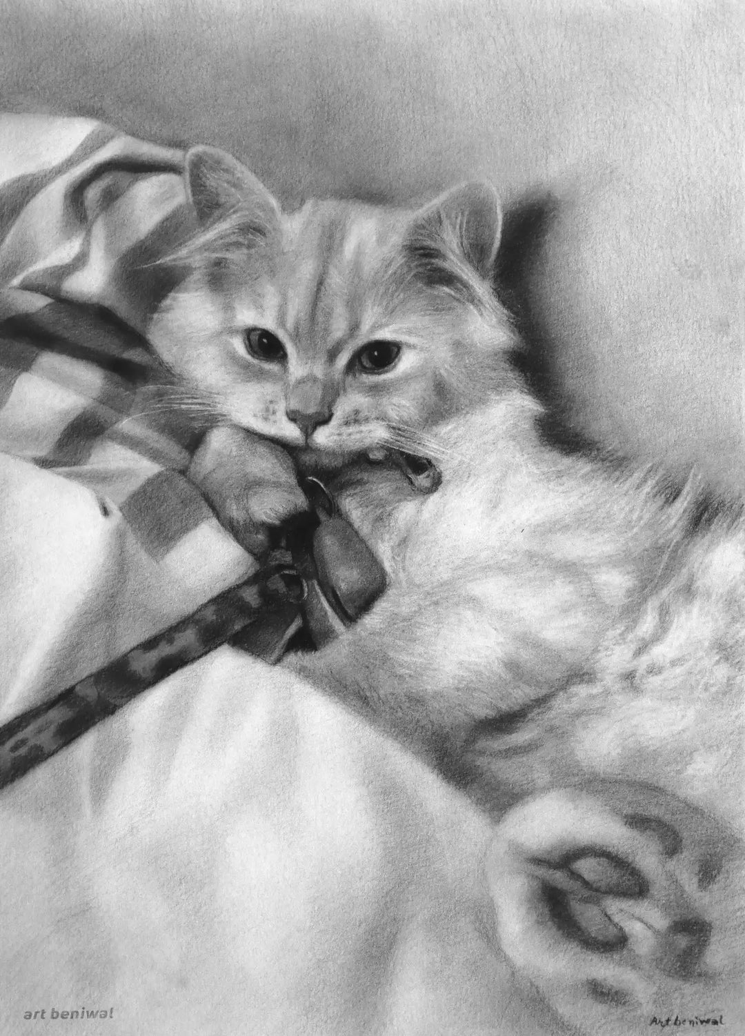 #1073 Cat Pencil Portrait