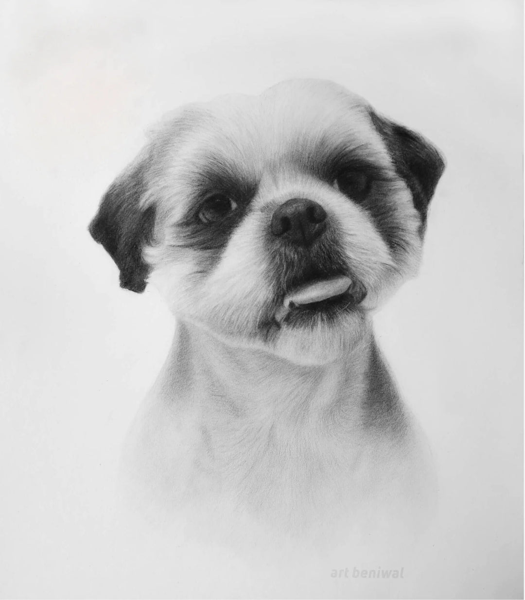 #1133 Dog Pencil Portrait