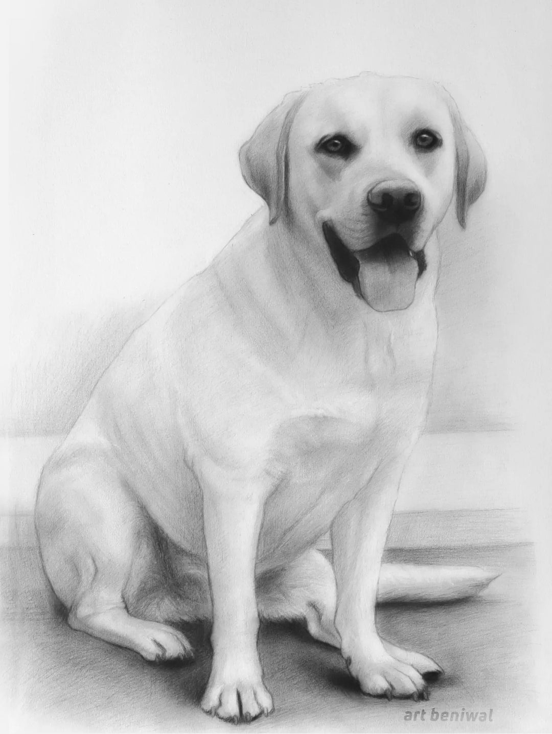 #1157 Dog Pencil Portrait