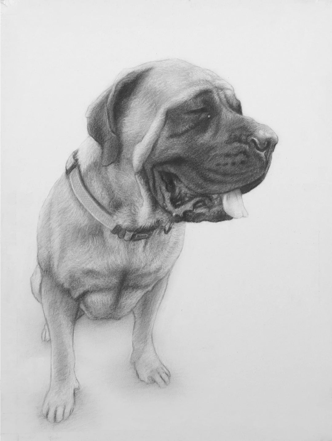 D123C Dog Pencil Portrait