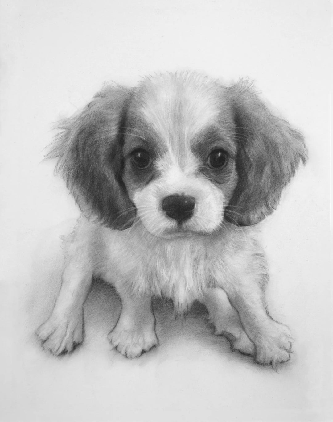 D123A Dog Pencil Portrait