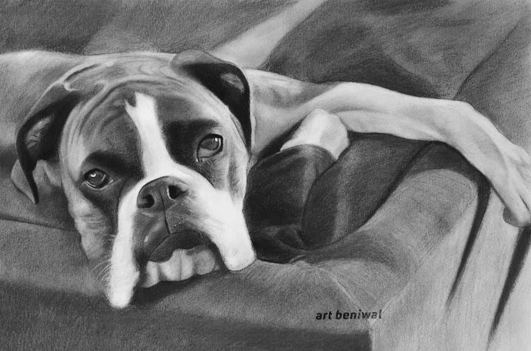 D12 Dog Pencil Portrait