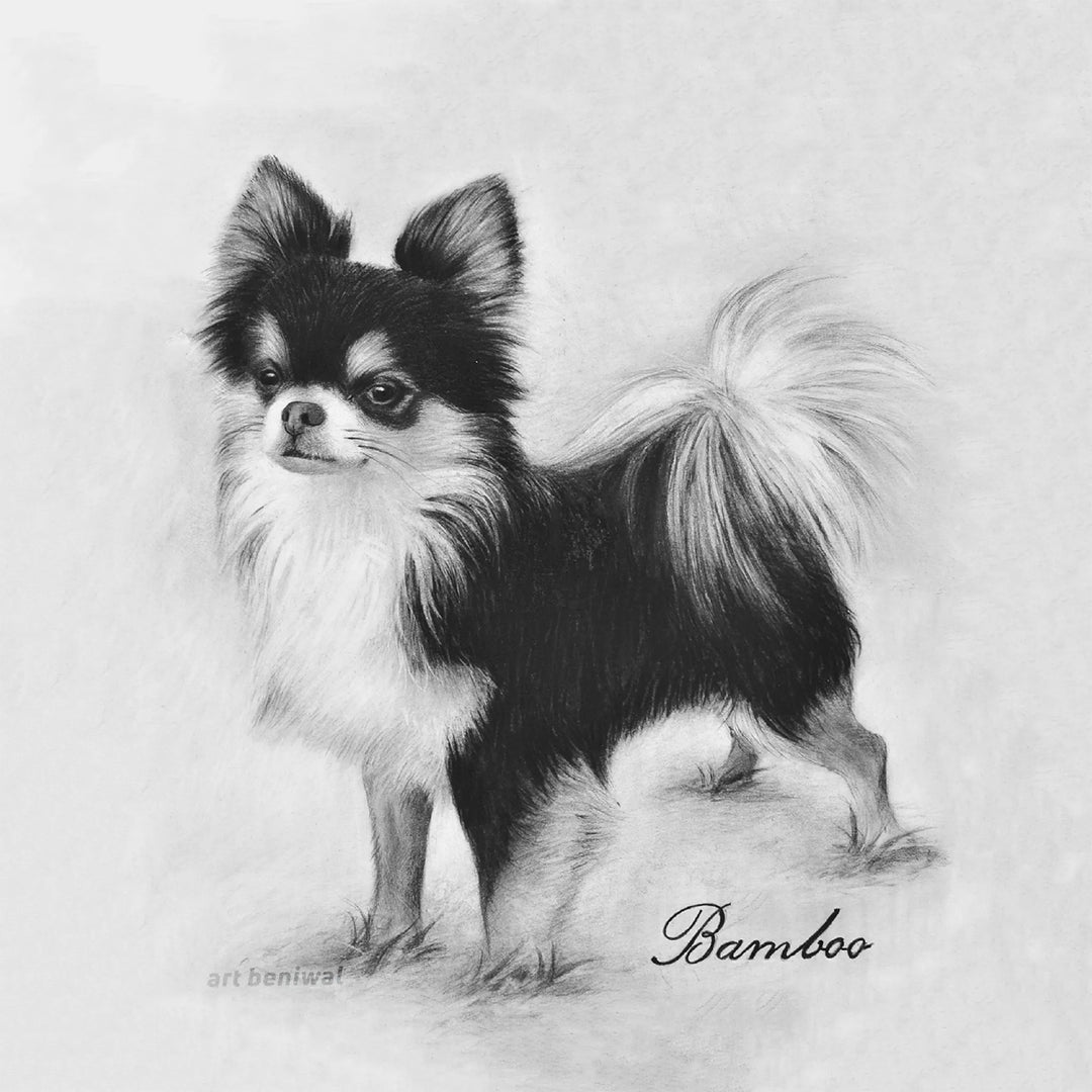 D24 Dog Pencil Portrait