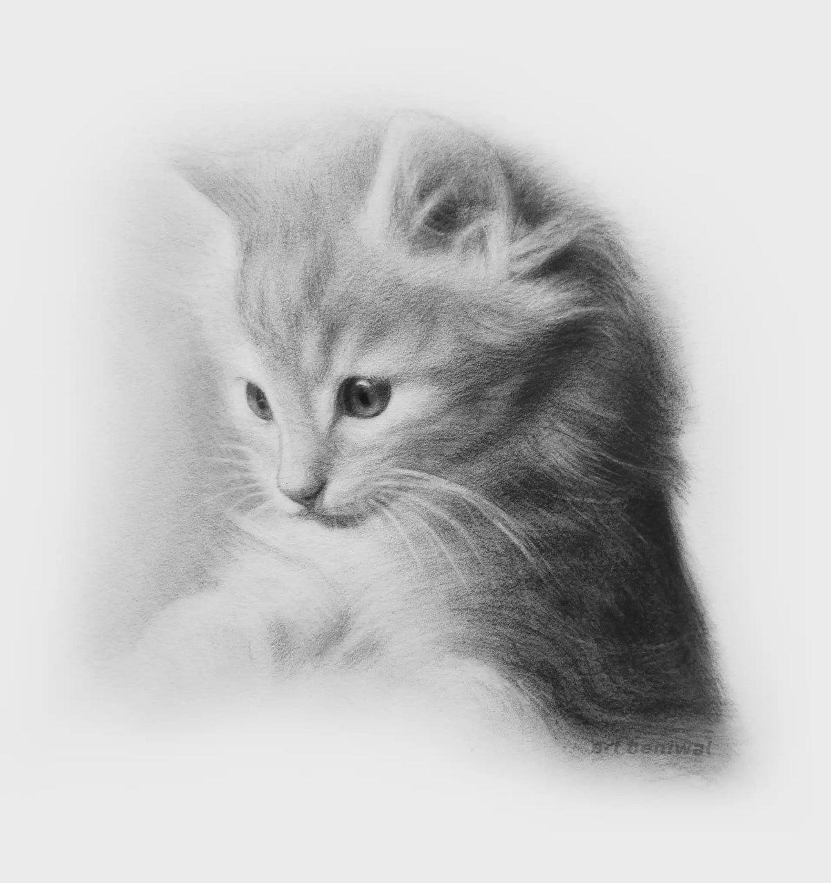 Custom Pencil Sketch Portrait