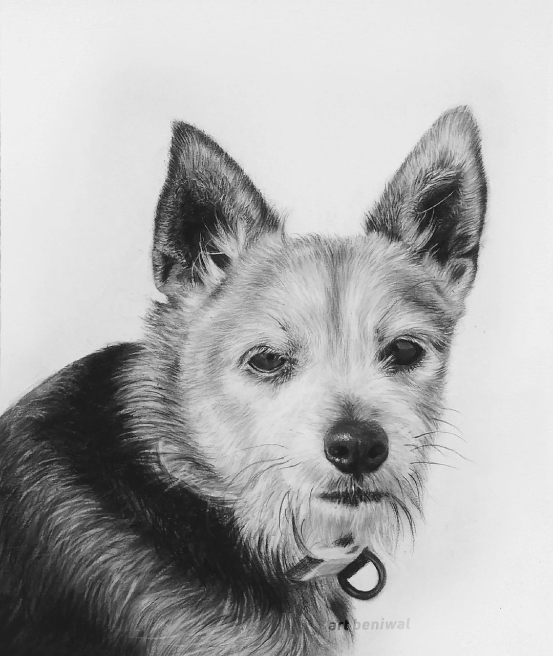 D69 Dog Pencil Portrait