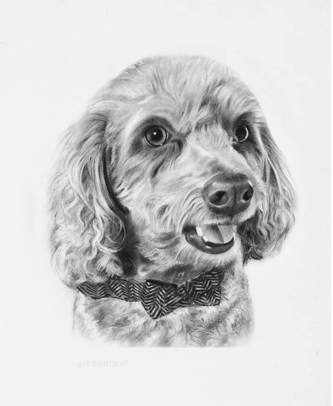 D75 Dog Pencil Portrait