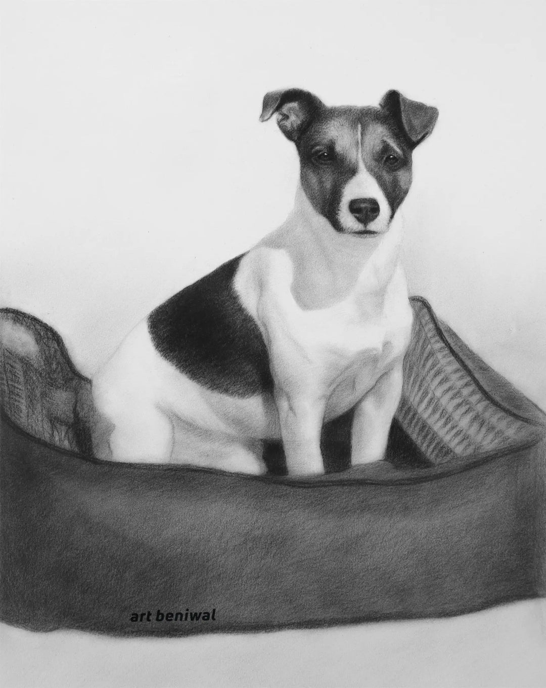 D84 Dog Pencil Portrait