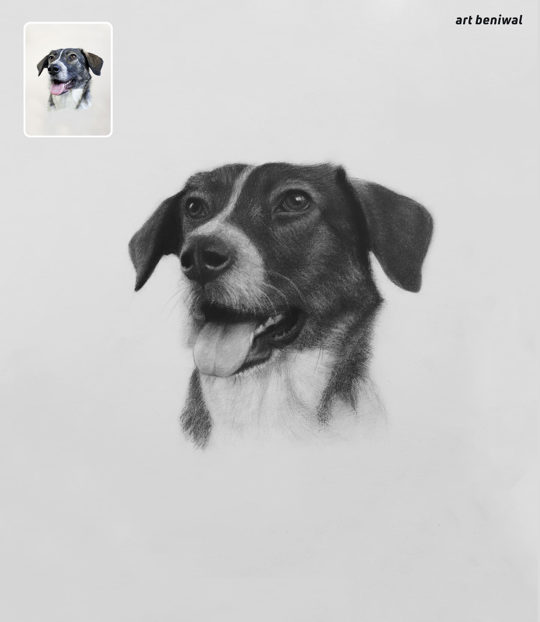 Custom pet handmade drawing - created popular to order