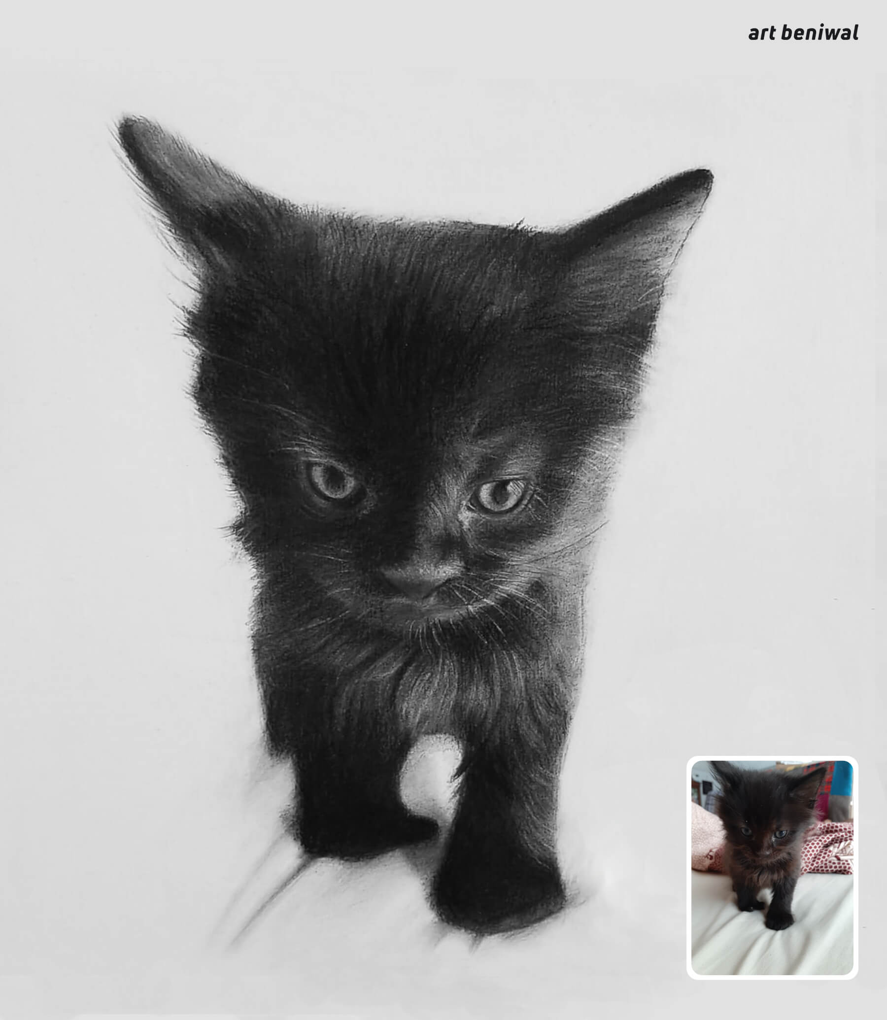 charcoal drawing of a black kitten with a small inset photo of a real kitten.