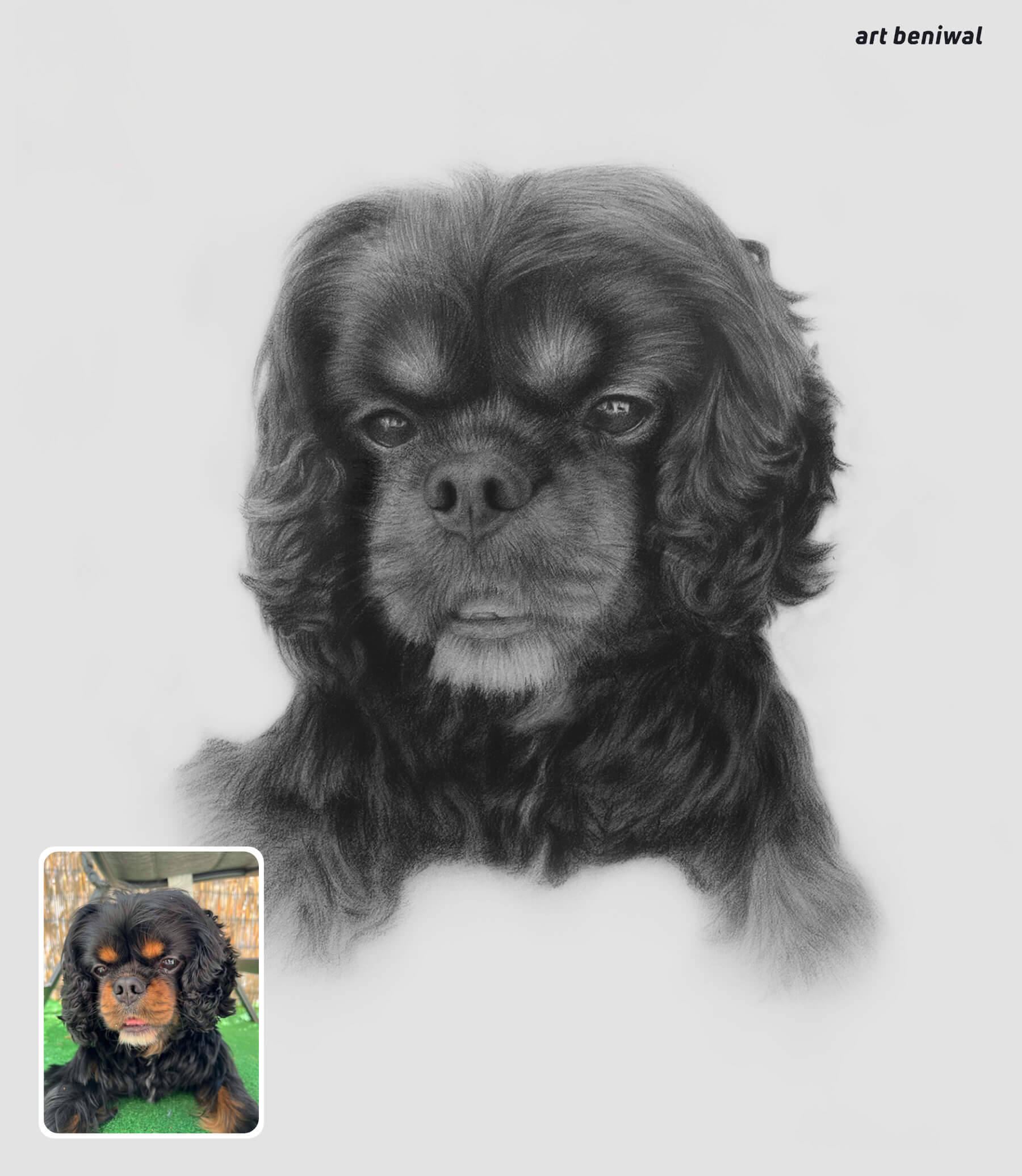 detailed black and white pencil charcoal portrait of a dog with a small inset photo of the same dog.