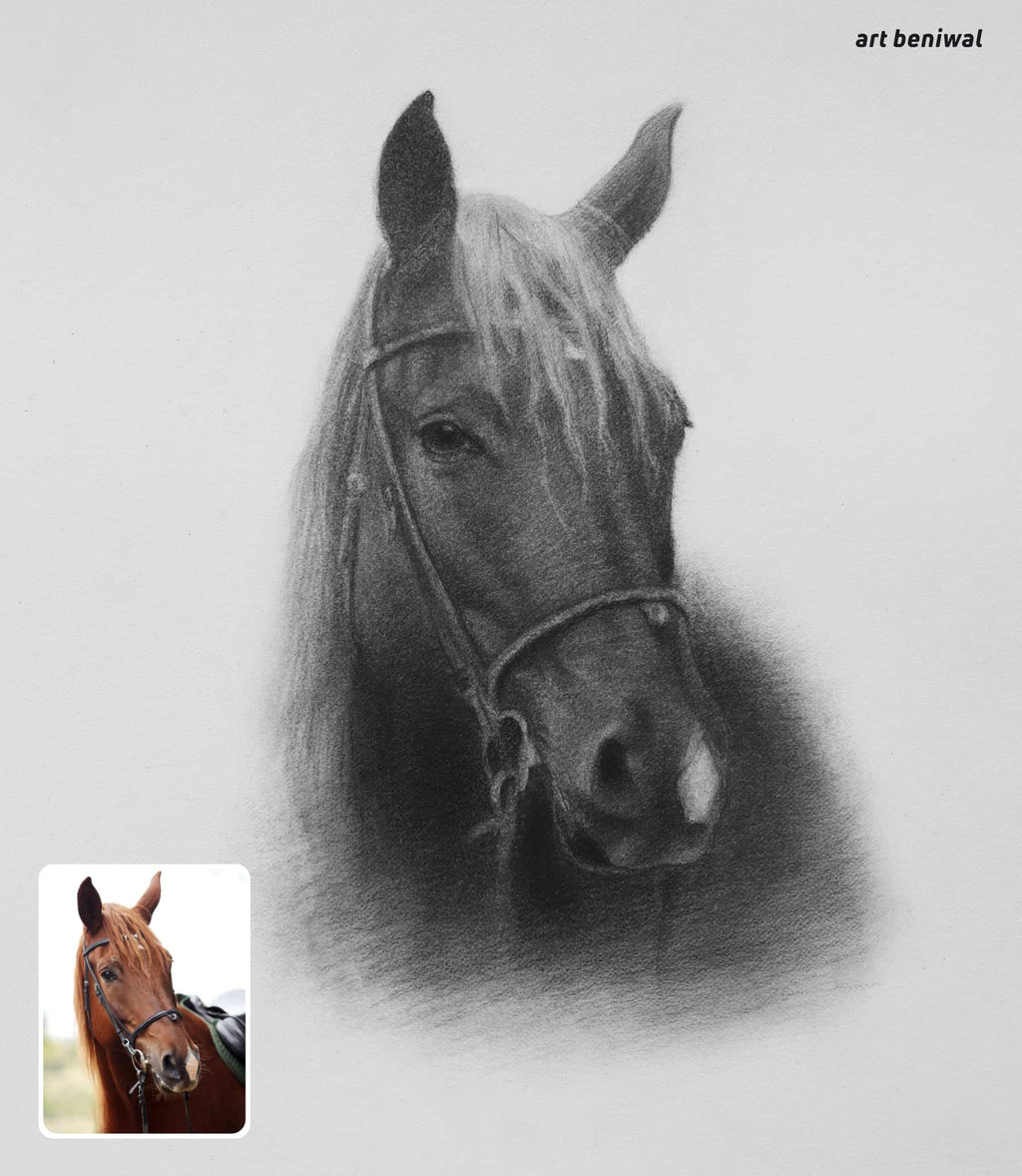 Pencil drawing of a dark brown horse head with a smaller inset photo of a real horse at left side at bottom.