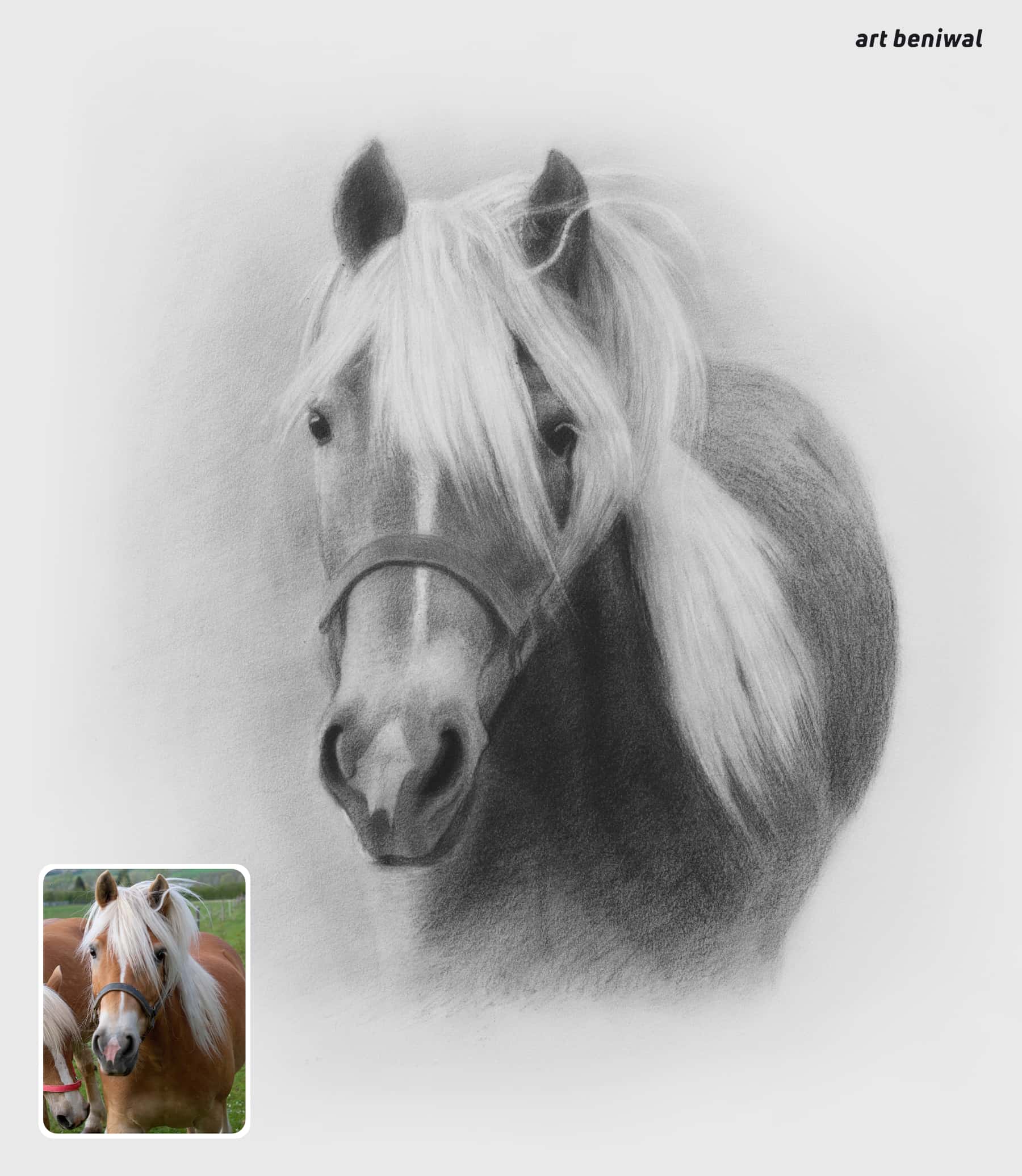 Detailed pencil drawing of a horse with white hairs and a smaller inset photo of a real horse at left bottom.