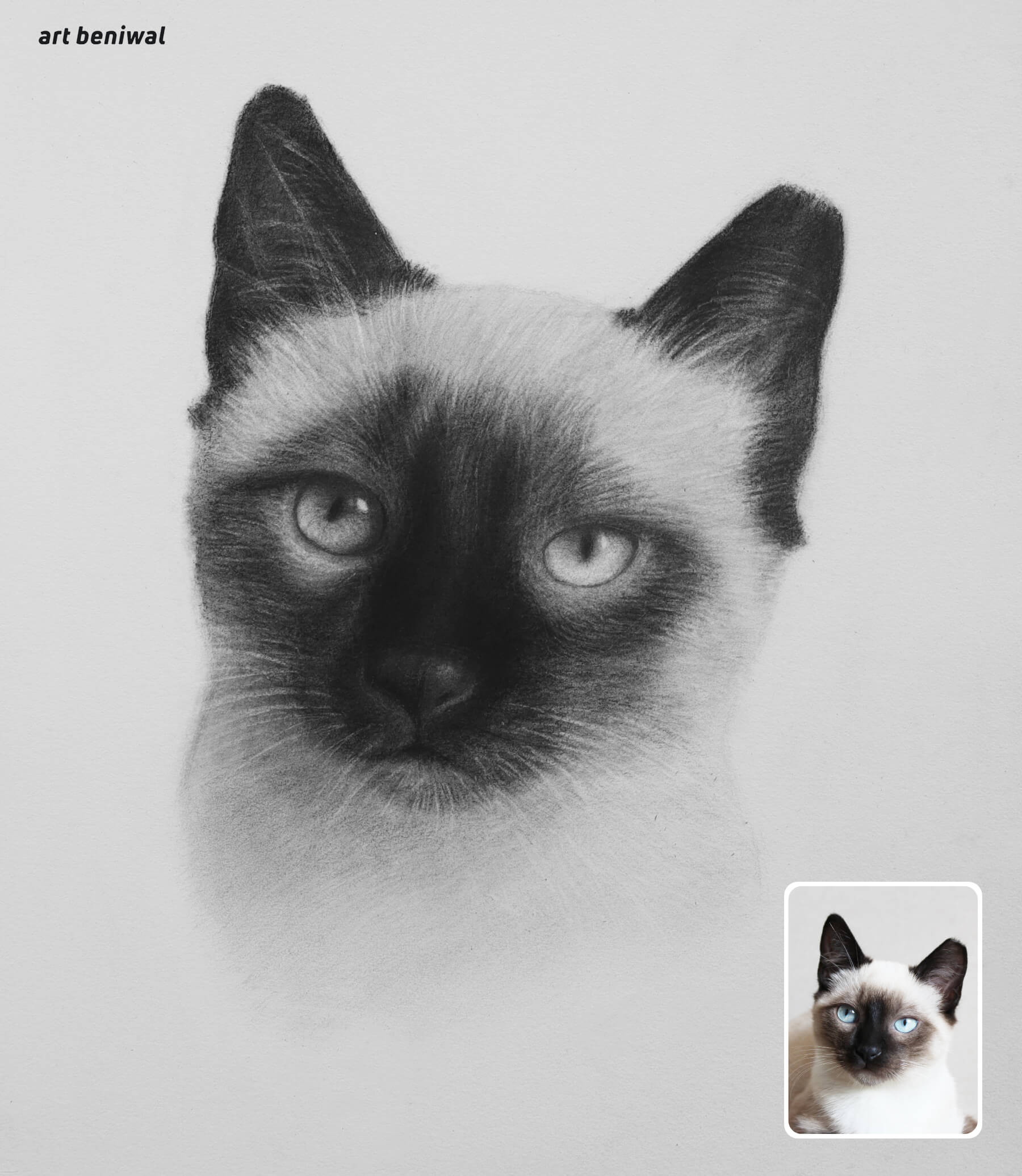 Artistic graphite and charcoal drawing of a Siamese cat with a small inset photo of the same cat.