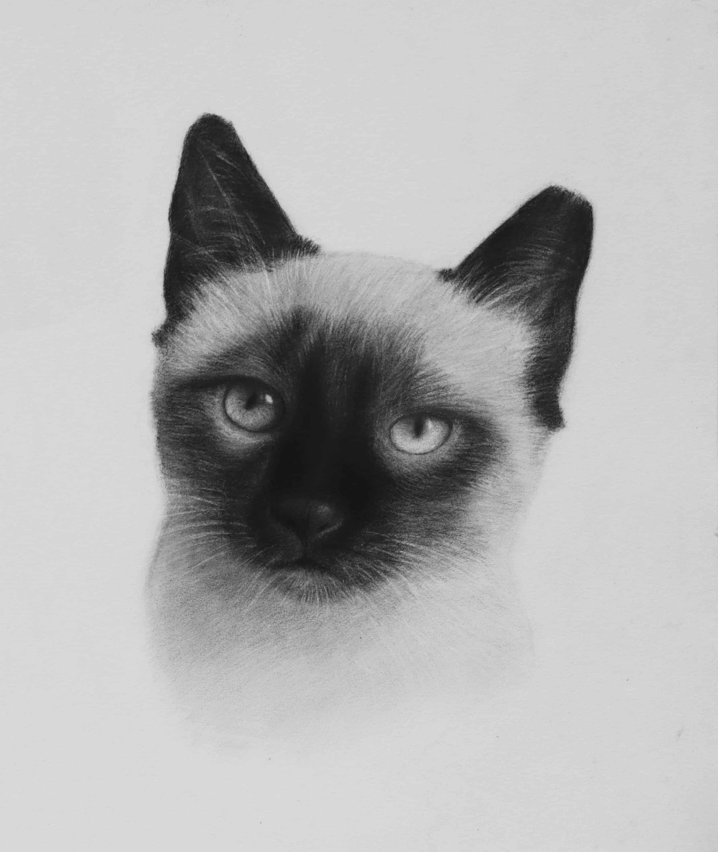 Custom Cat Drawing - Personalized Pet Art for Cat Lovers