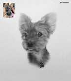 Custom Dog Pencil Portrait