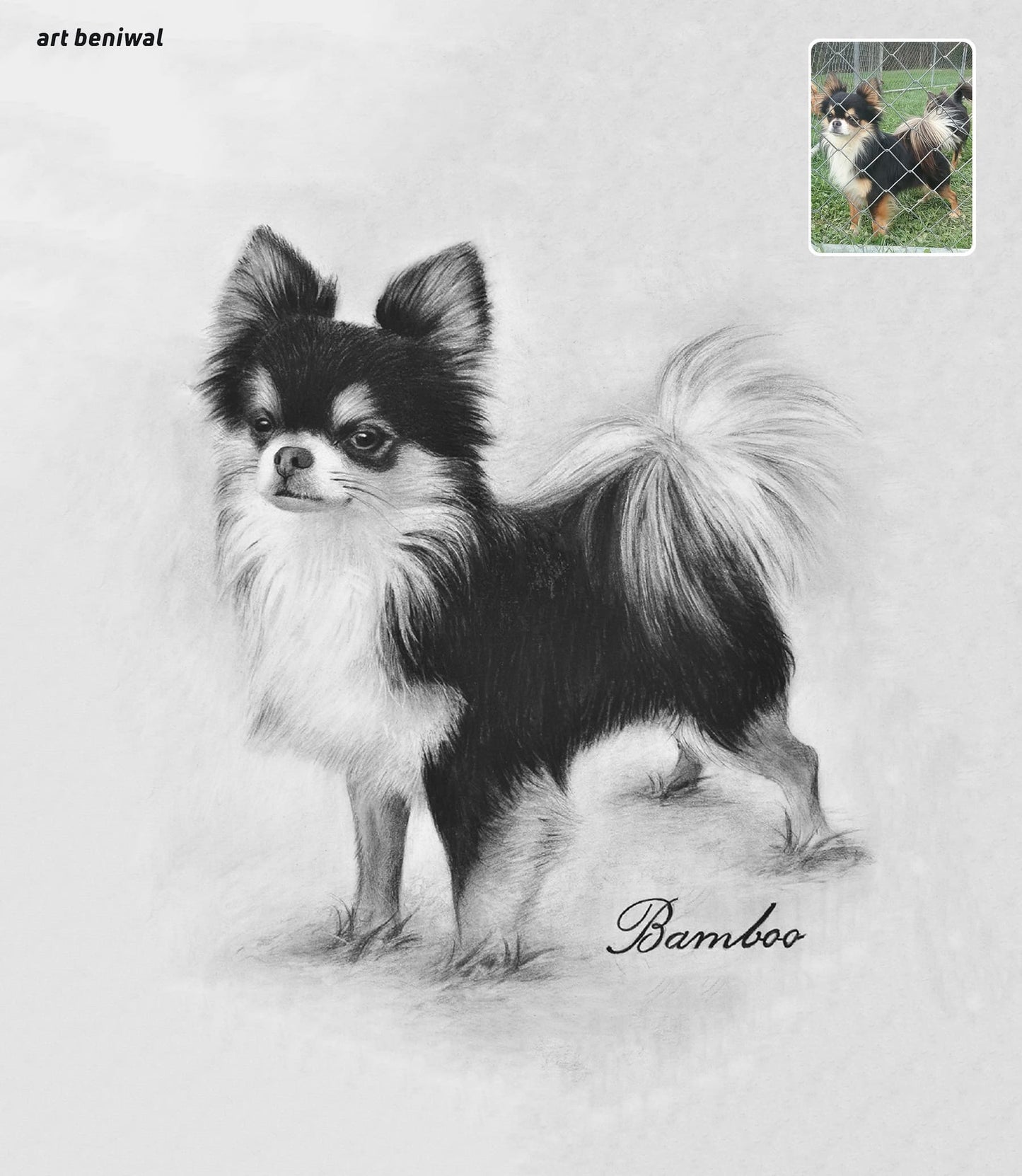 Pet Sketch Portrait from Photo - A Personalized Gift for Dog Owner