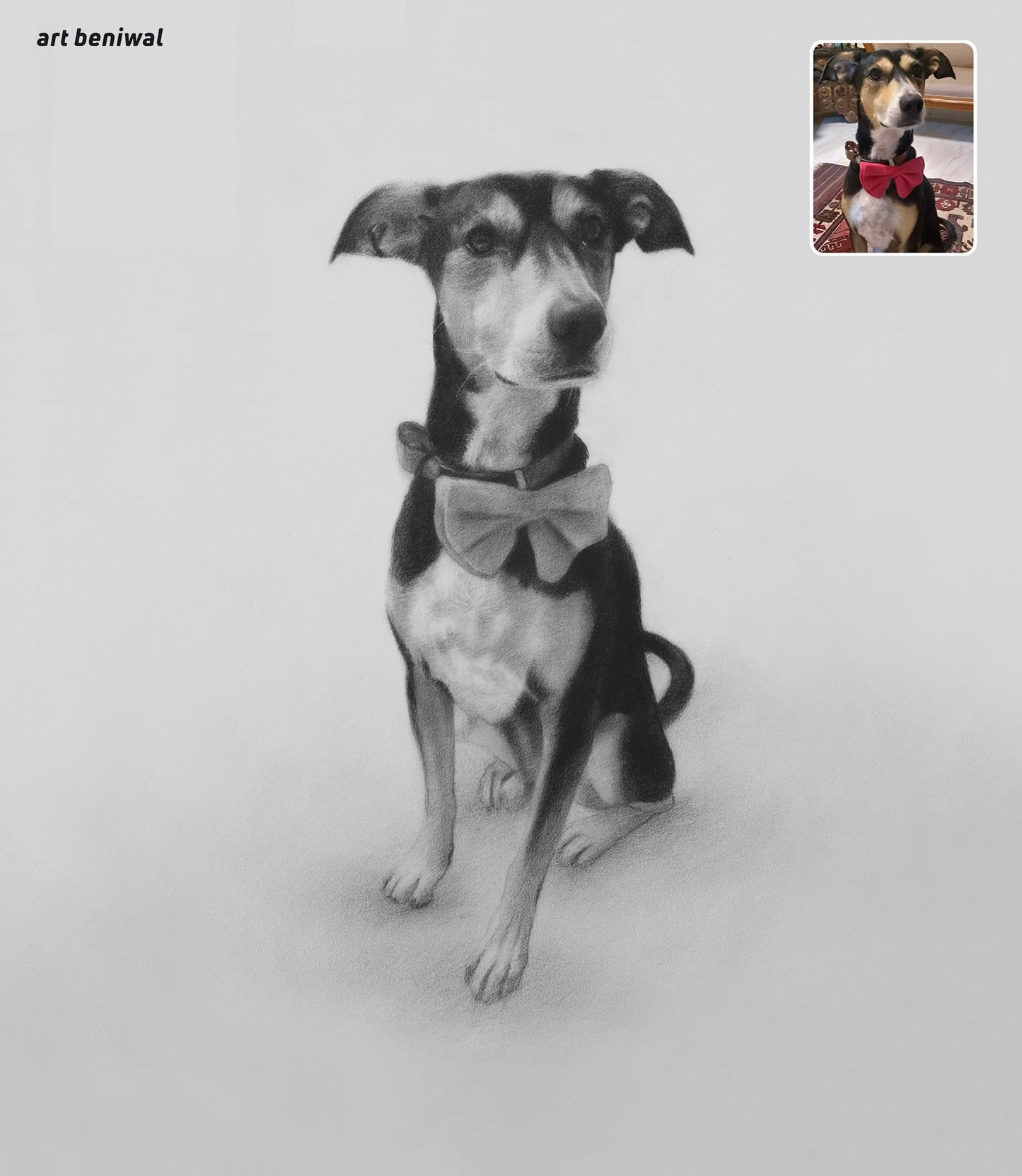Pet Sketch Portrait from Photo - A Personalized Gift for Dog Owner