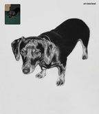 realistic charcoal sketch of a dachshund dog on a white background with 'art beniwal' credit.