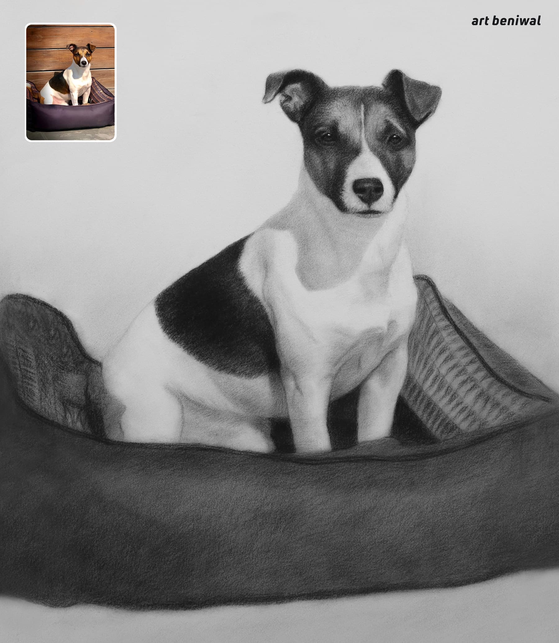 Hand-drawn pencil pet portrait of a dog sitting in a pet bed