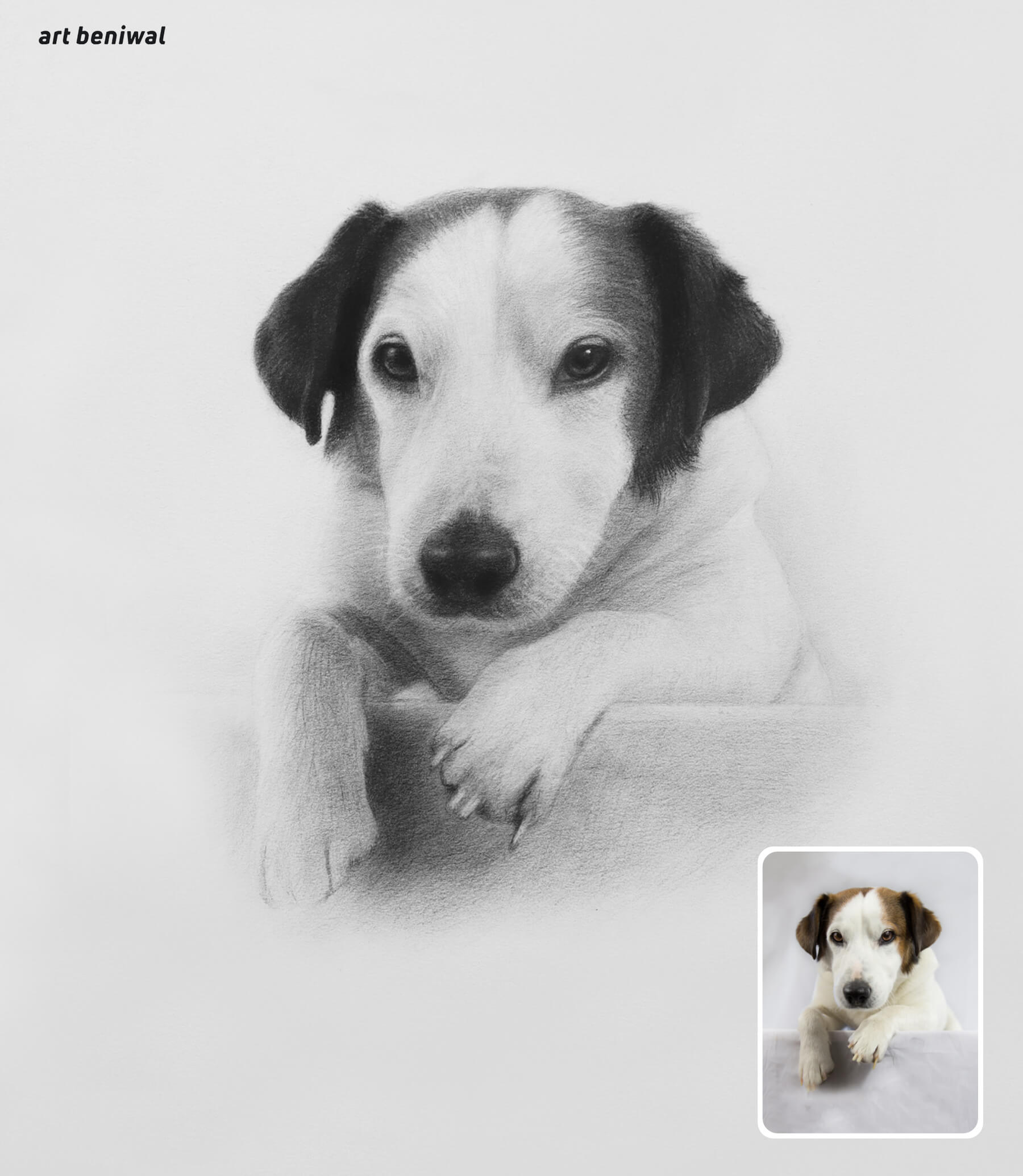 Pencil drawing of a white colour dog with dark brown ears, and a small inset photo of the same dog.